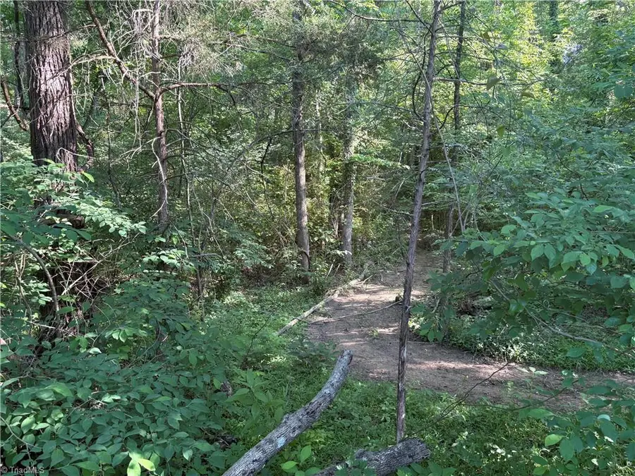 0 Pearl Avenue, Sophia, NC 27350 - #3