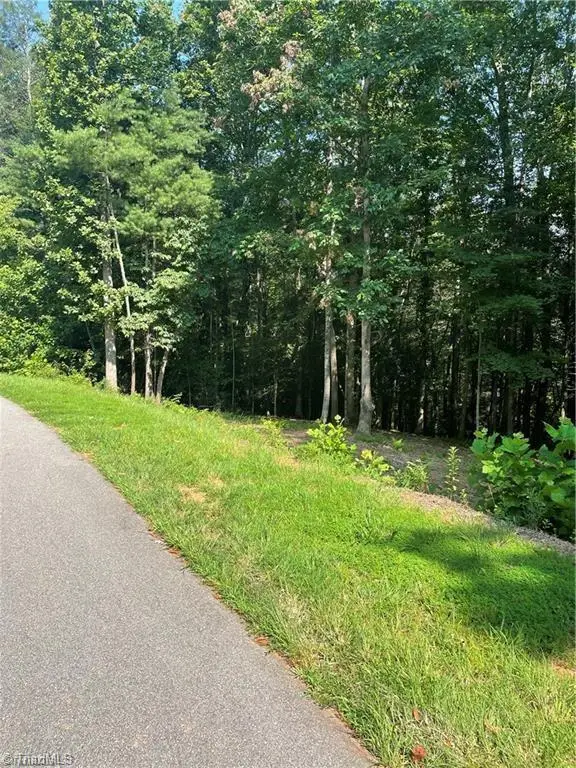 000 Burberry Lane, Purlear, NC 28665 - #1
