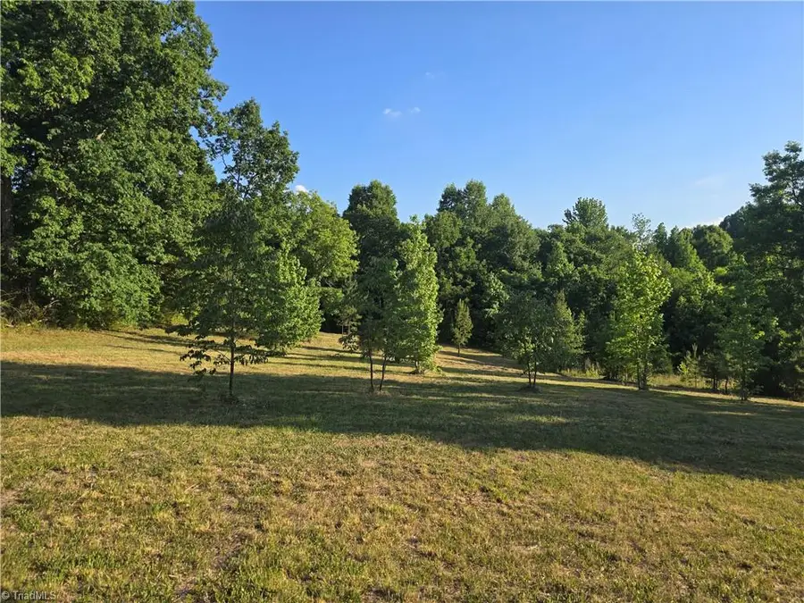 217 Cedar Ridge Road, Randleman, NC 27317 - #2