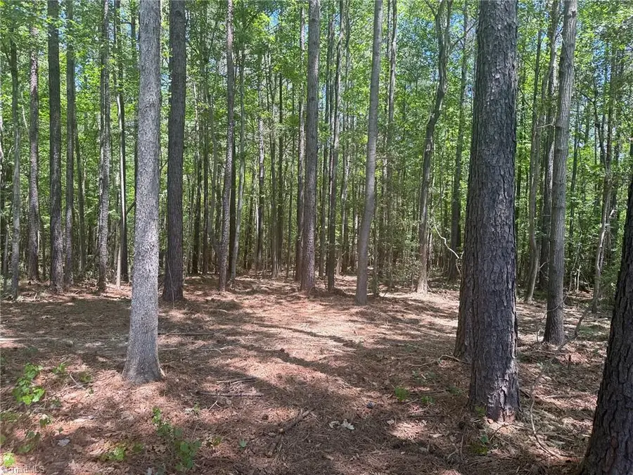 Lot 15 Willie Road, Seagrove, NC 27341 - #2
