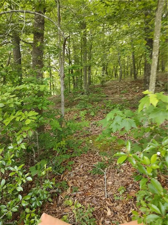 335 Healing Springs Drive, Denton, NC 27239 - #3