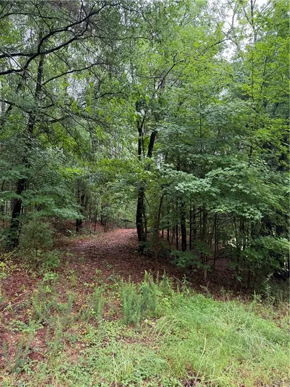 0 Pine Ridge Road, China Grove, NC 28023 - #3