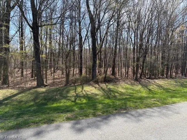 367 Healing Springs Drive, Denton, NC 27239 - #1
