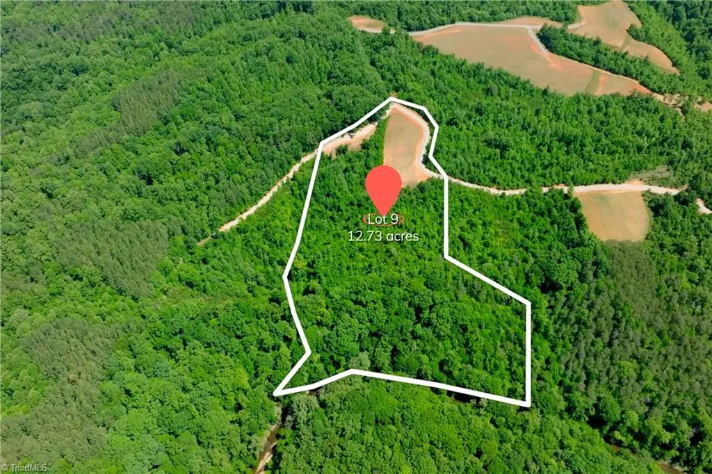 9 Roby Fulk Road, Pinnacle, NC 27043 - #1