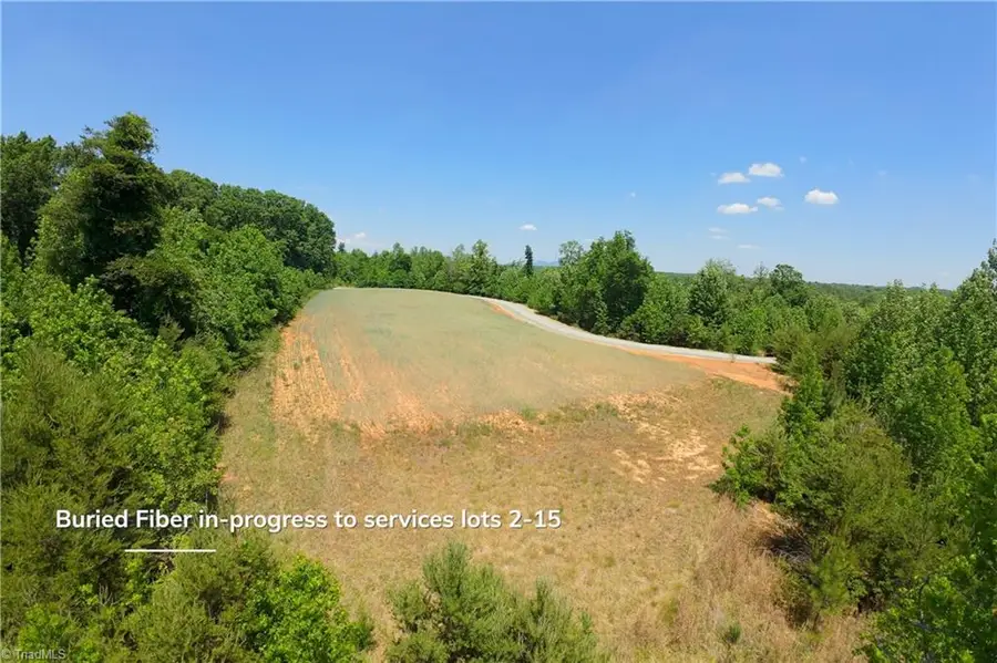 9 Roby Fulk Road, Pinnacle, NC 27043 - #3