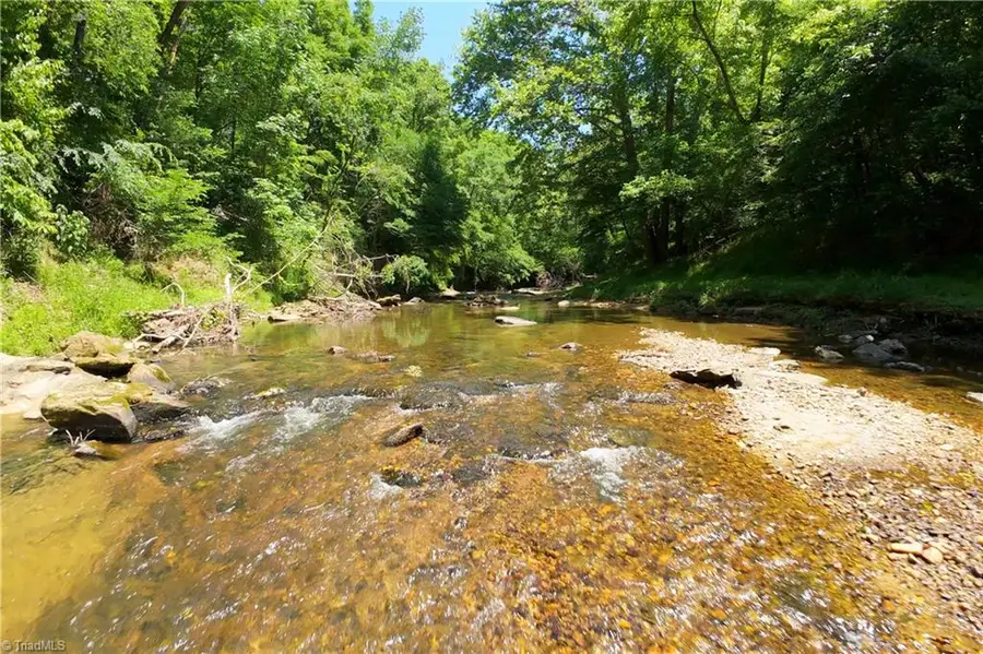16 Roby Fulk Road, Pinnacle, NC 27043 - #2