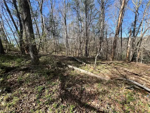 295 Shepherds Farm Road, North Wilkesboro, NC 28659