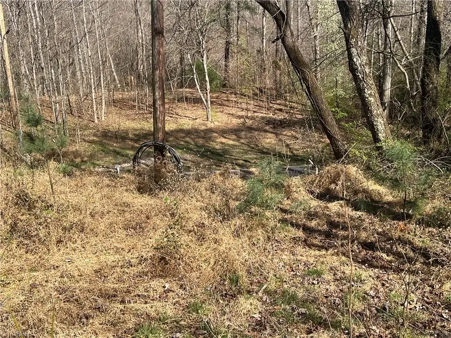 295 Shepherds Farm Road, North Wilkesboro, NC 28659 - #2