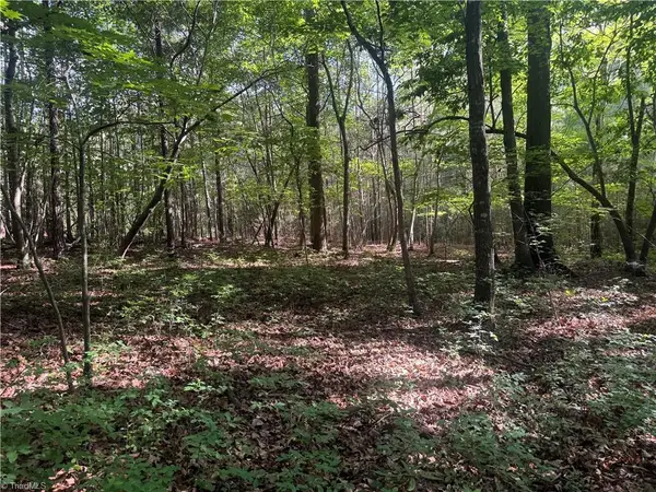 Tract 3 Dover Church Road, Seagrove, NC 27341