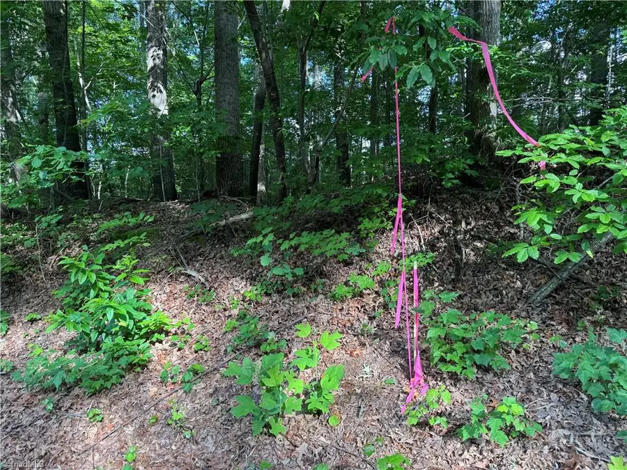 Tract 4 Dover Church Road, Seagrove, NC 27341 - #2