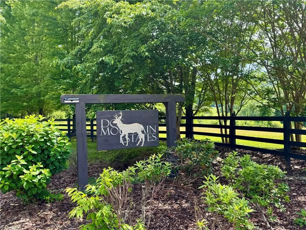 Lot #69 Turkey Trail, McGrady, NC 28649 - #1