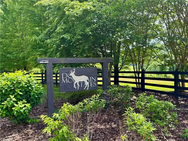 Lot #69 Turkey Trail, McGrady, NC 28649