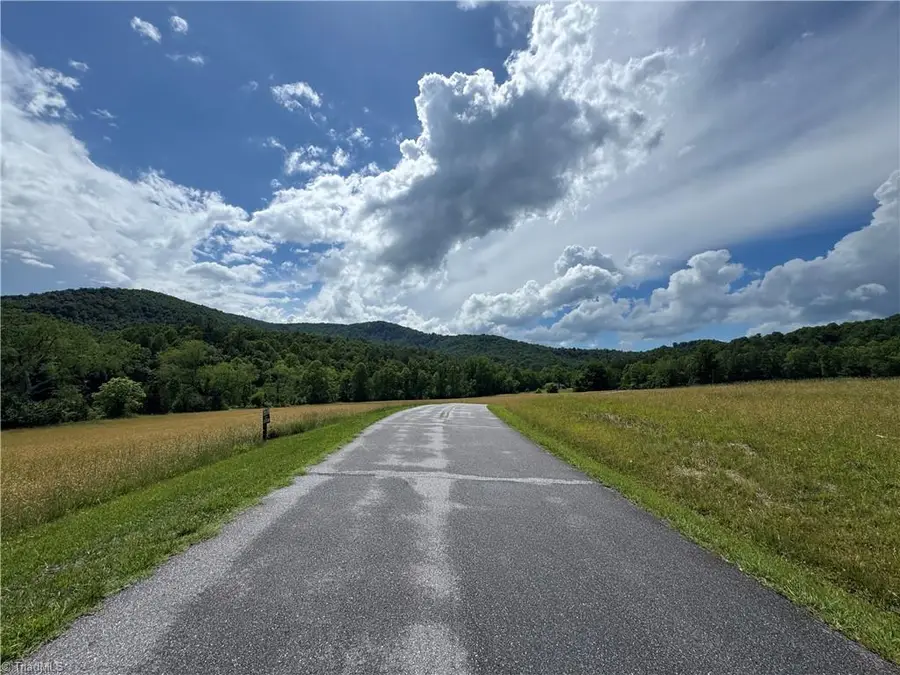 Lot #69 Turkey Trail, McGrady, NC 28649 - #2