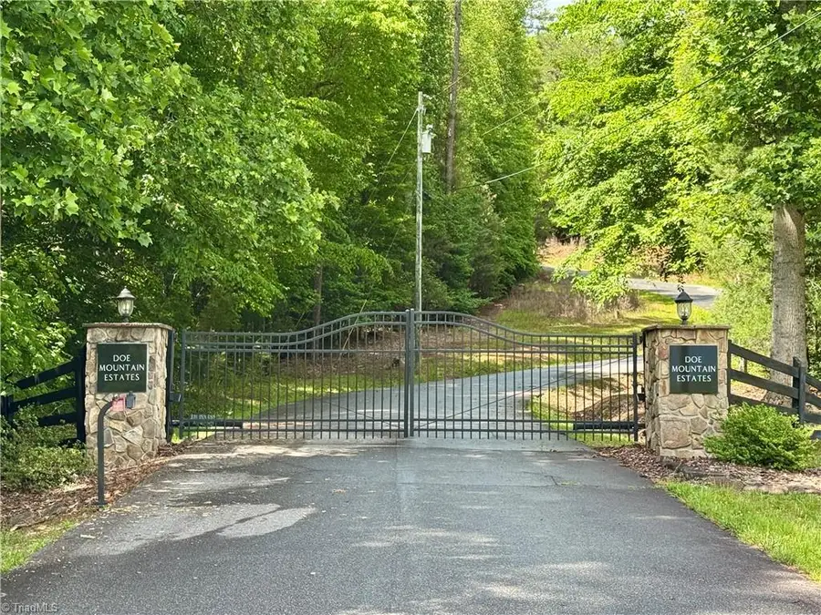 Lot #69 Turkey Trail, McGrady, NC 28649 - #3