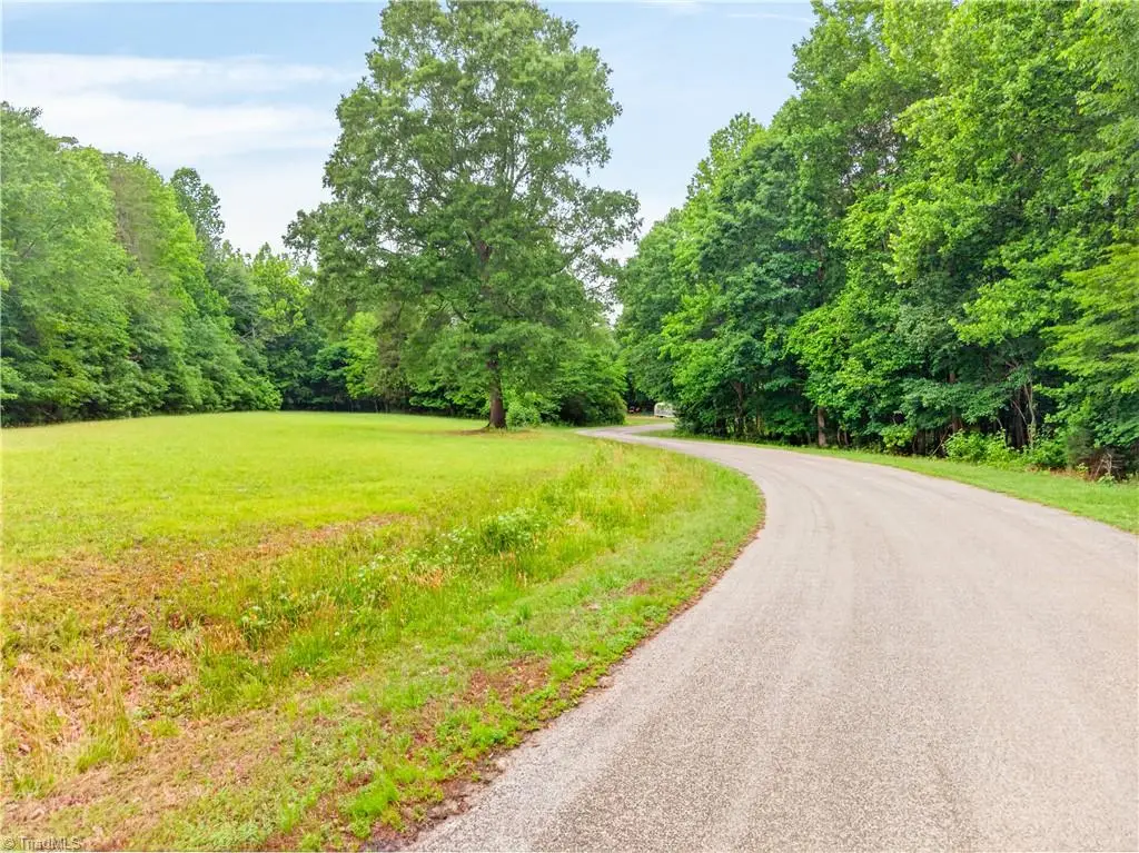 7436 Chaseford Road, Liberty, NC 27298 - #1