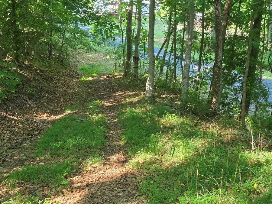 1055 Ed Booth Road, Westfield, NC 27053 - #2