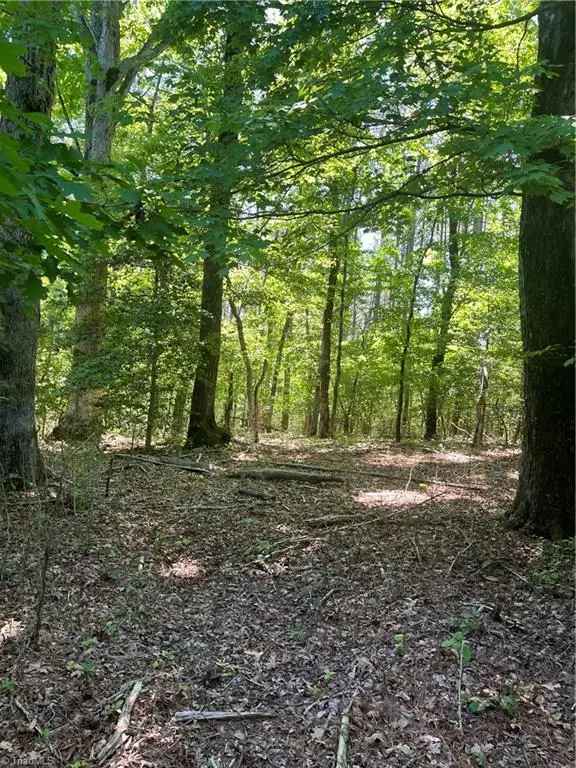 0 Palmer Road, Westfield, NC 27053