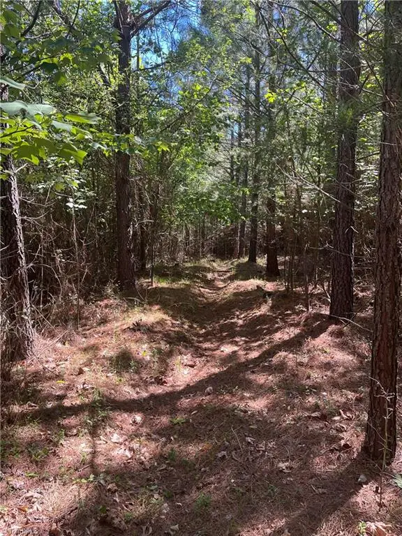 0 Palmer Road, Westfield, NC 27053 - #3