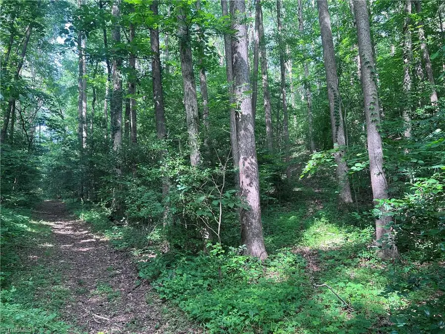 000 Goat Road, Catawba, NC 28609 - #3