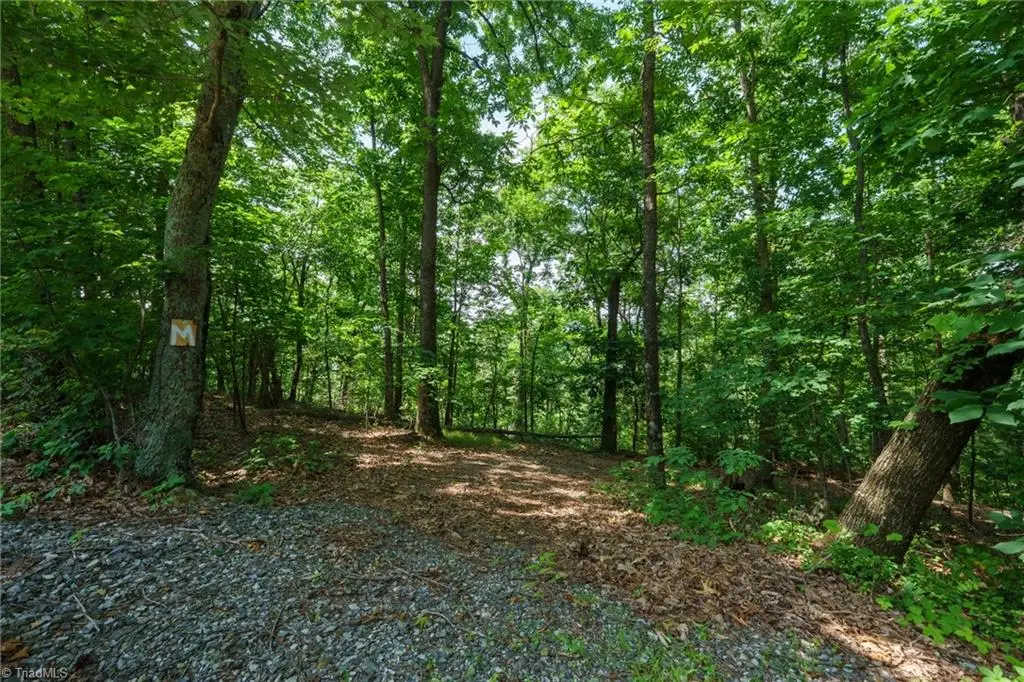 00 Hendren Road, Moravian Falls, NC 28654 - #1