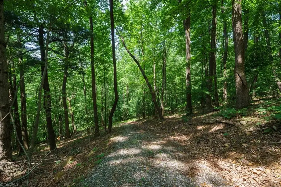 00 Hendren Road, Moravian Falls, NC 28654 - #3
