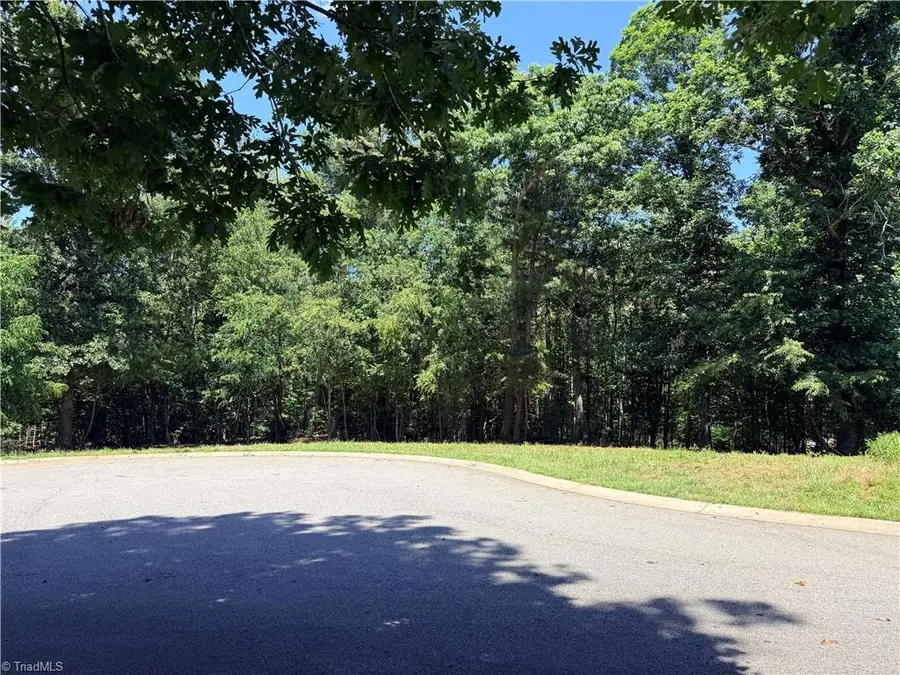 Lot 307 Miller Court, North Wilkesboro, NC 28659 - #3