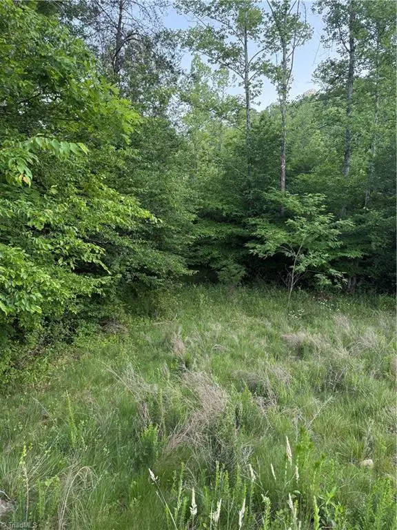 0 Puckett Road, Westfield, NC 27053 - #2