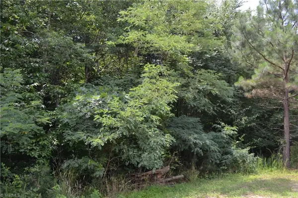Lot 00 Ponderosa Road, Stoneville, NC 27048