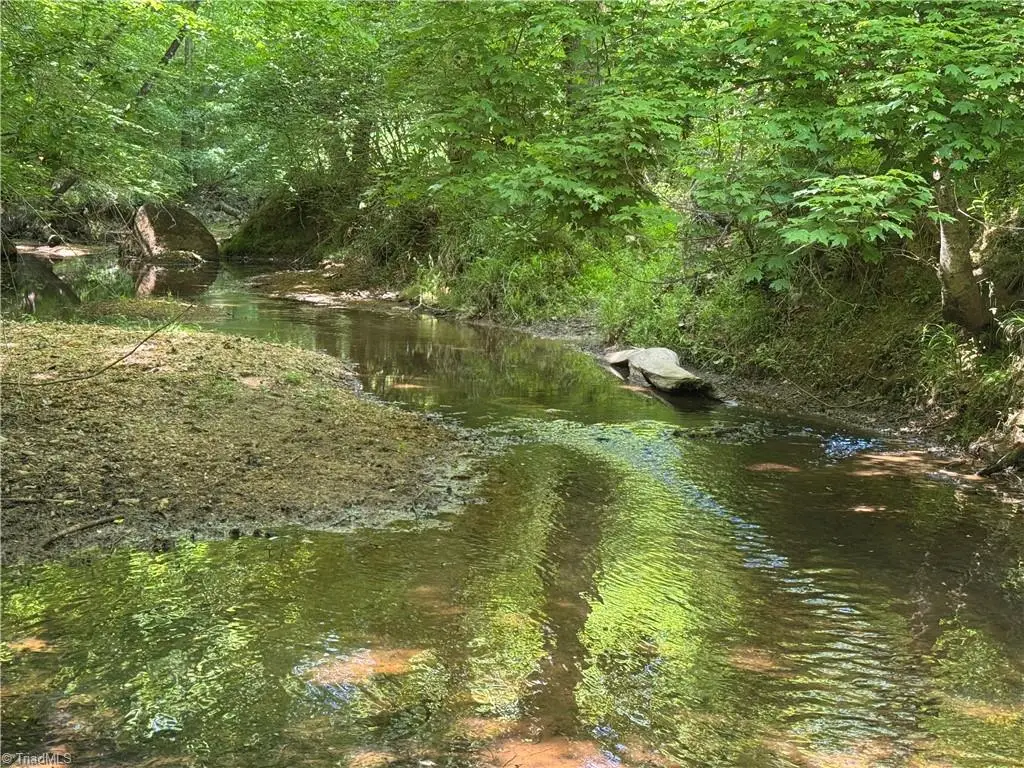 0 Routh Road, Franklinville, NC 27248 - #1