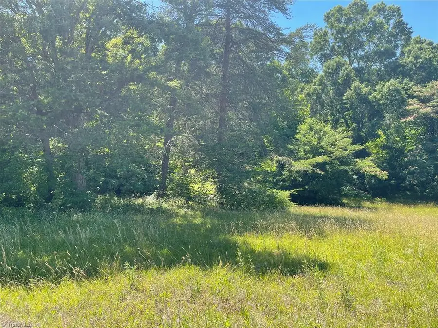 1306 White Street, Lexington, NC 27292 - #2