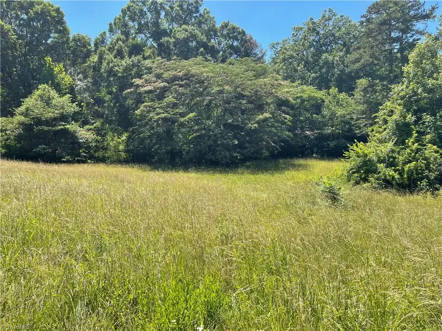 1310 White Street, Lexington, NC 27292 - #2