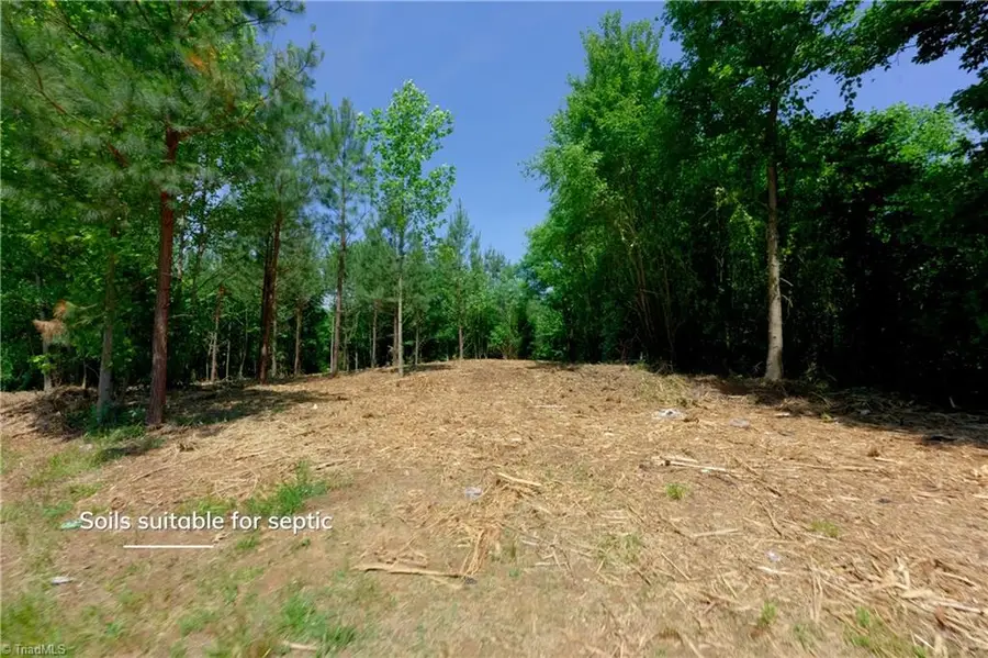 1 Hinshaw Road, Yadkinville, NC 27055 - #3