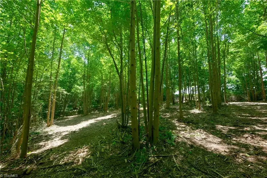 2 Hinshaw Road, Yadkinville, NC 27055 - #2