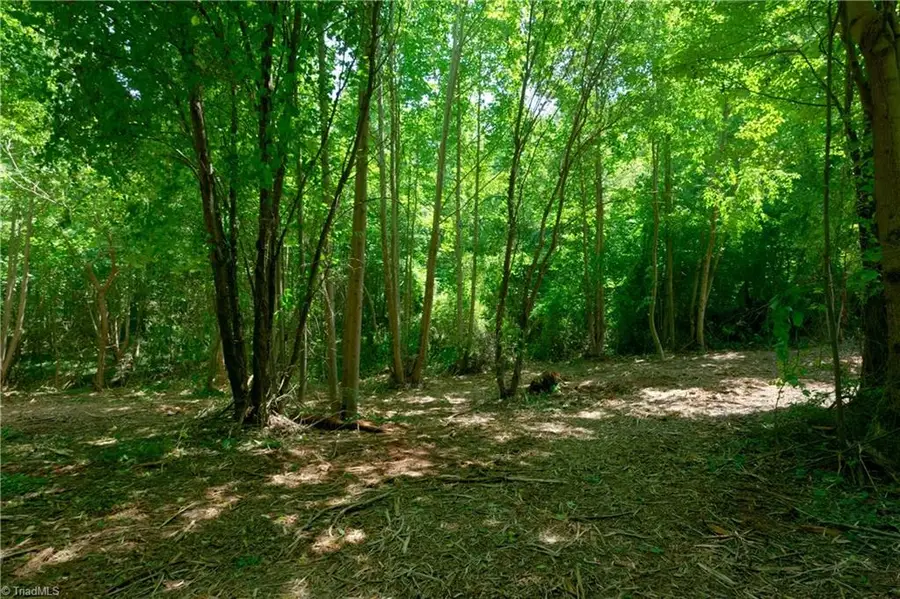 2 Hinshaw Road, Yadkinville, NC 27055 - #3