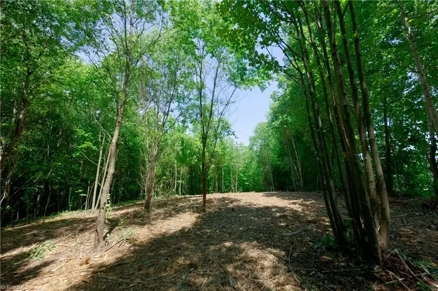 3 Hinshaw Road, Yadkinville, NC 27055 - #3