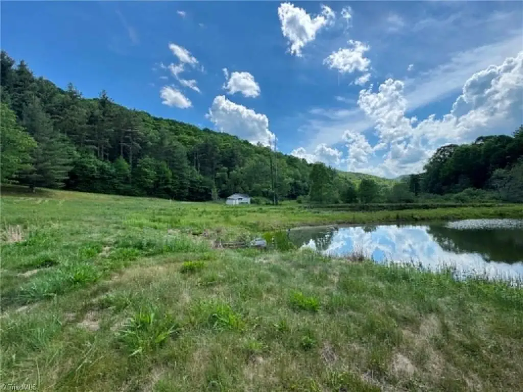 1298 Air Bellows Gap Road, Sparta, NC 28675 - #1