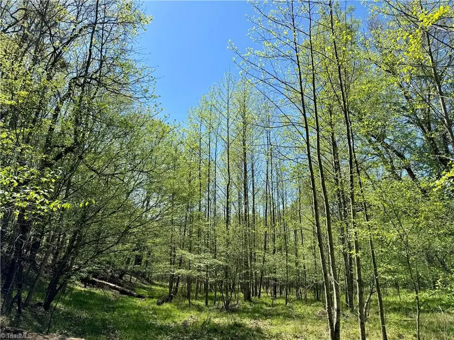 3313 Nc Highway 66 S, Westfield, NC 27053 - #3