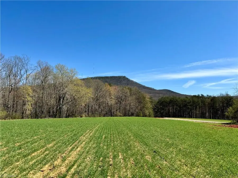 6 Old Mill Road, Pinnacle, NC 27043 - #2