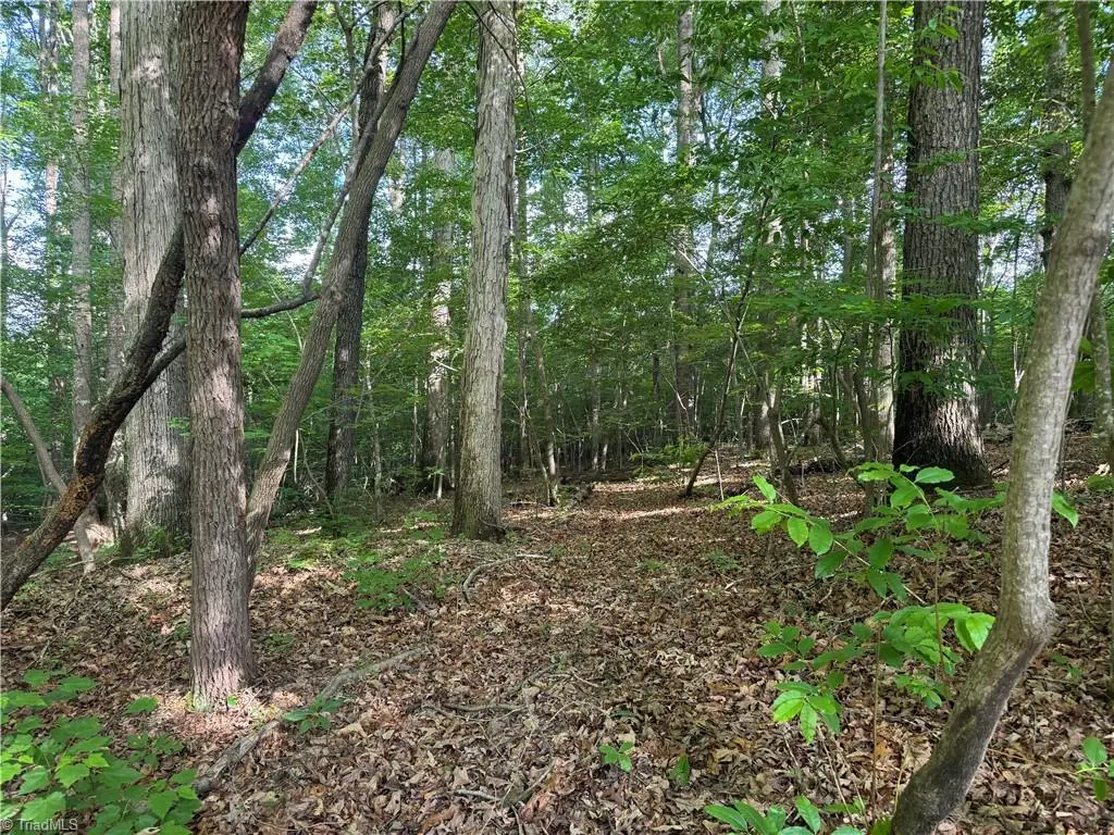00 Dover Church Road, Seagrove, NC 27341 - #1