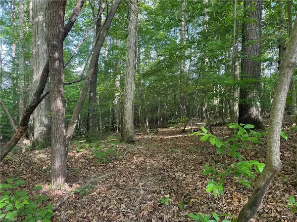 00 Dover Church Road, Seagrove, NC 27341