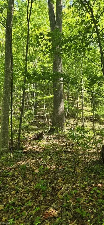 00 Goose Creek Lane, Ararat, VA 24053 - #3