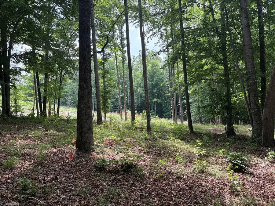 6455 Reubens Ridge Drive, Salem Chapel, NC 27105 - #2