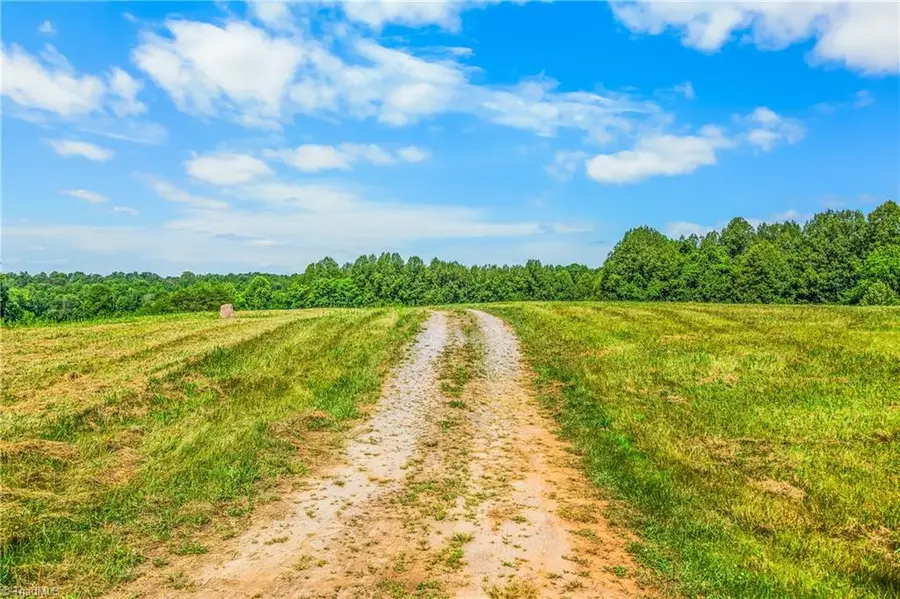 157 Buttercup Lane, Ararat, NC 27007 - #2