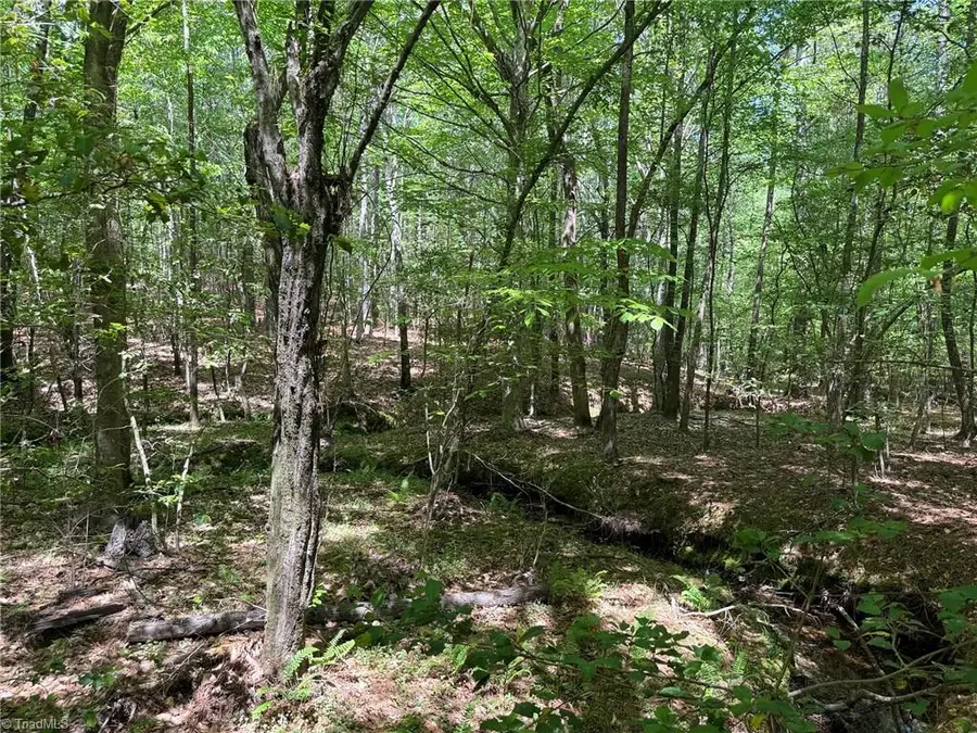 Lot 5 Woods Road, Seagrove, NC 27341 - #3