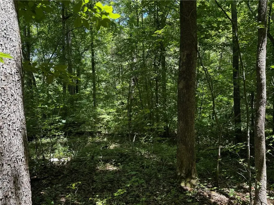 613 Aztec Drive, Wallburg, NC 27107 - #3