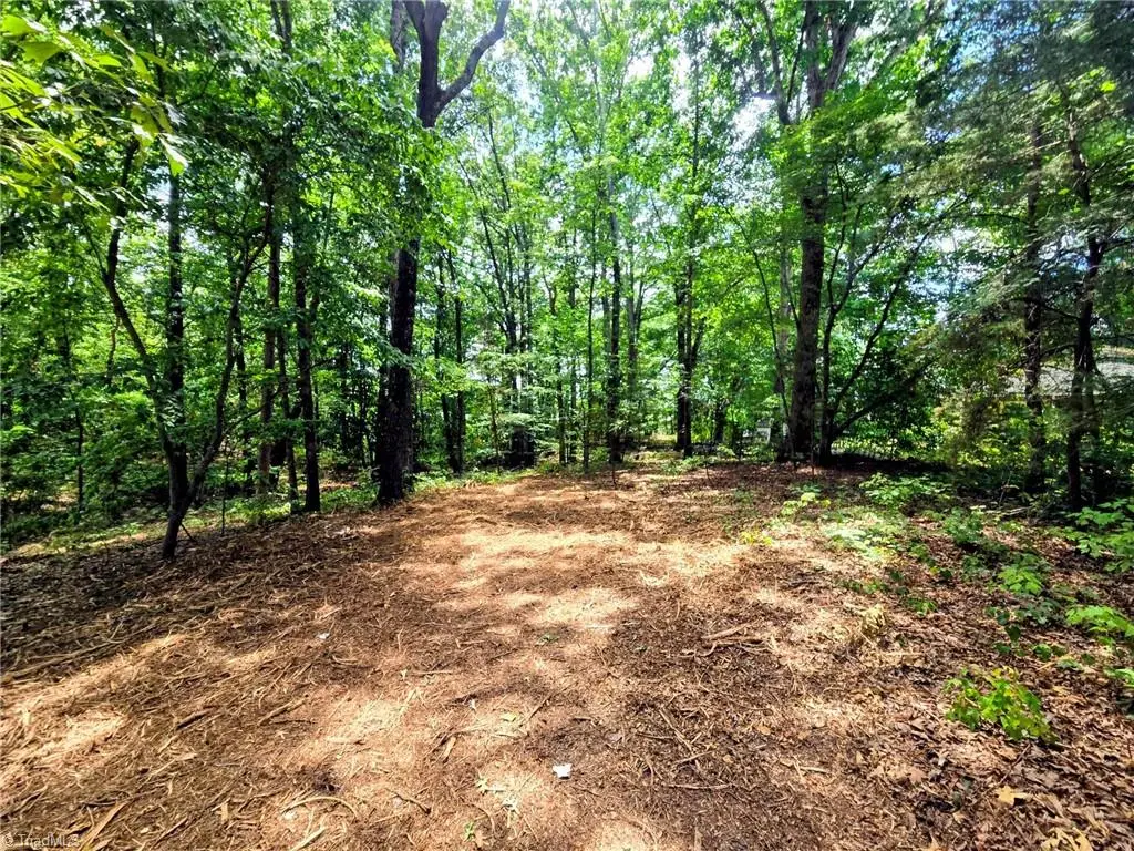 0 Idlewild Drive, Randleman, NC 27317 - #1