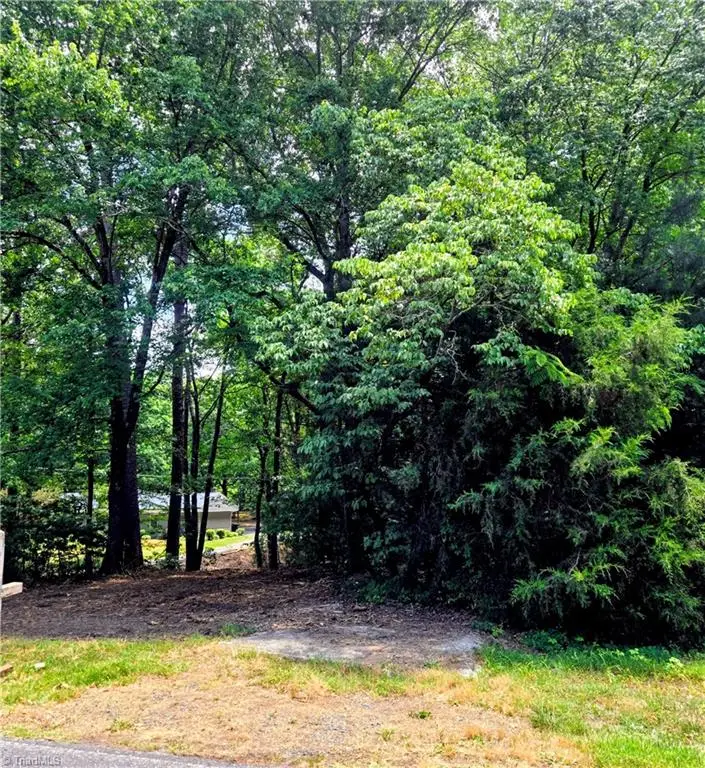 0 Idlewild Drive, Randleman, NC 27317 - #3