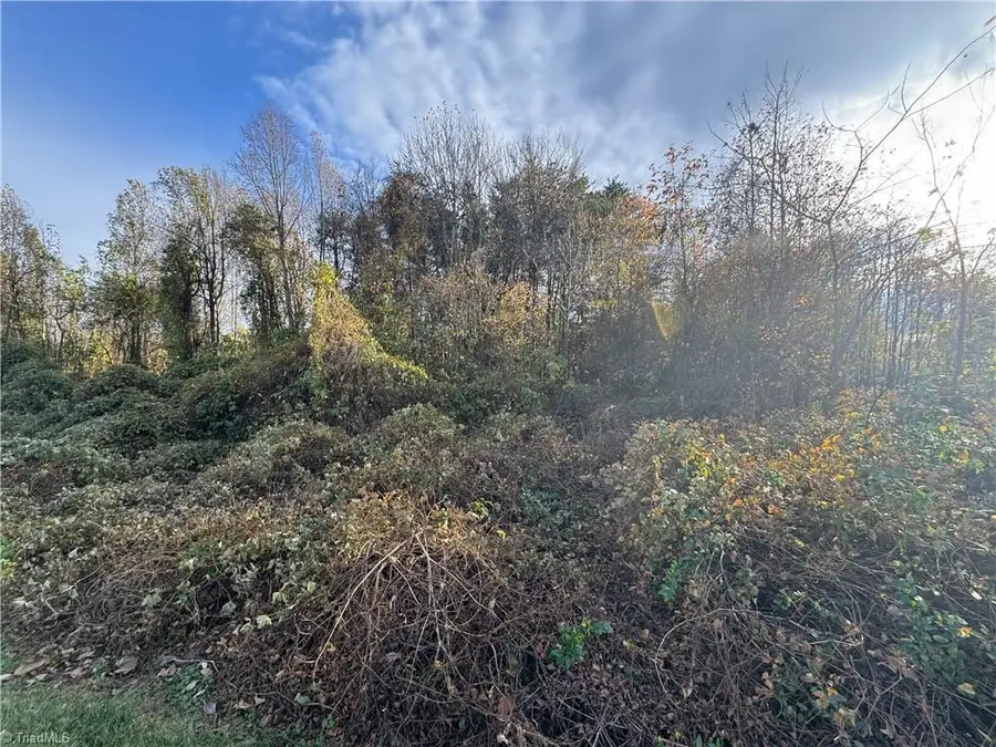 00 NE Market Street #Tract A, Reidsville, NC 27320 - #3