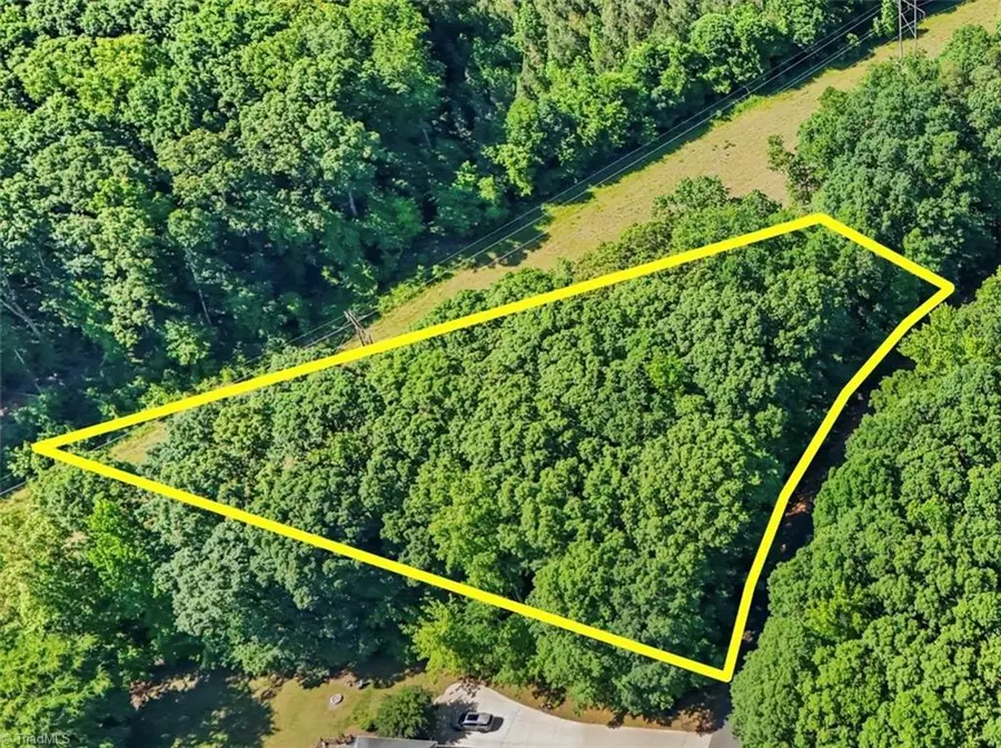 0 Pine Forest Drive S, Siler City, NC 27344 - #2