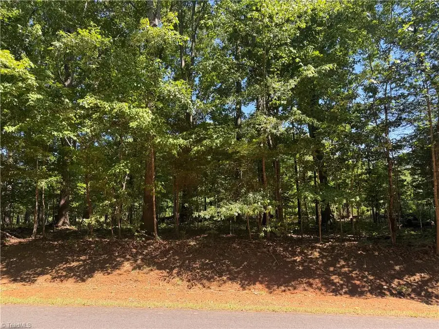 0 Pine Forest Drive S, Siler City, NC 27344 - #3